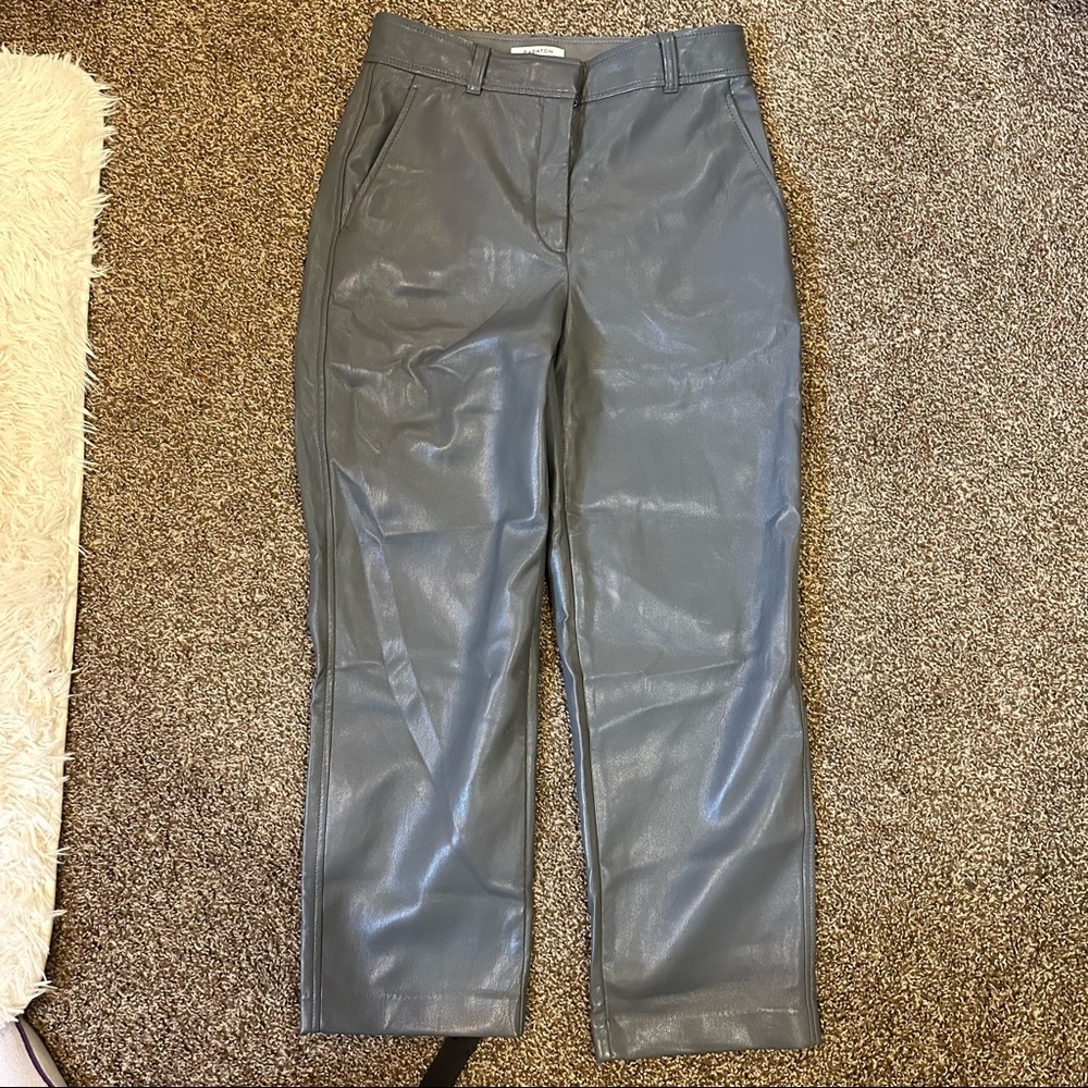 Aritzia Babaton leather pants